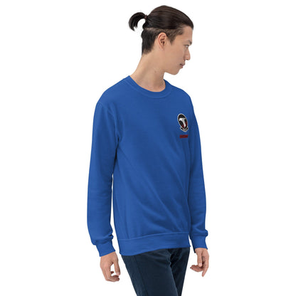 VAQ-141 Men's Sweatshirt